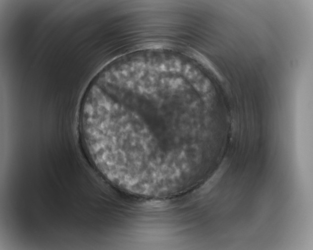 X0000088691178200706281956