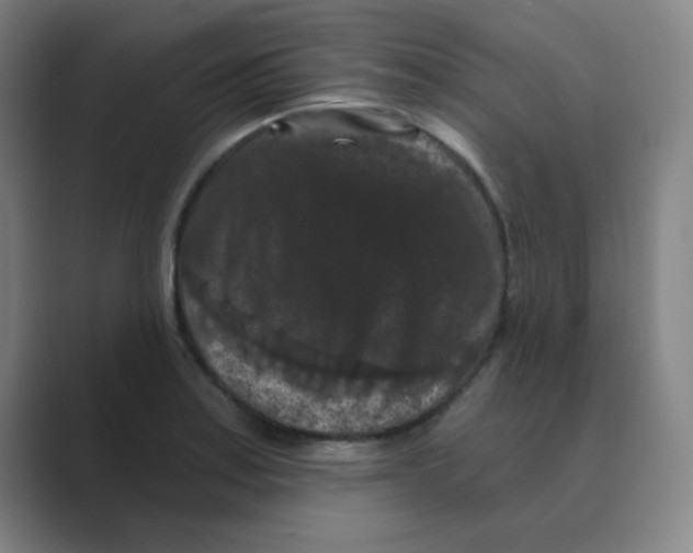 X0000088691179200706281956