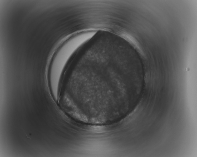 X0000088691180200706281956