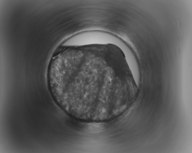 X0000088691181200706281956