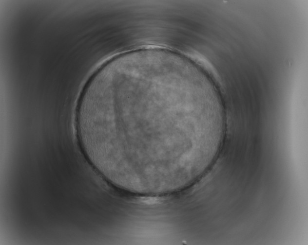 X0000088691182200706281956