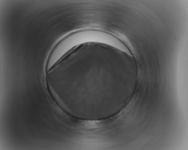 X0000088691184200706281956
