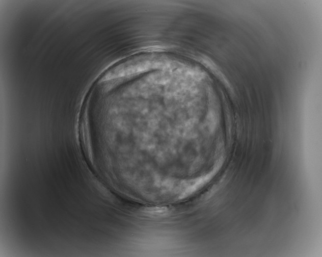 X0000088691186200706281956