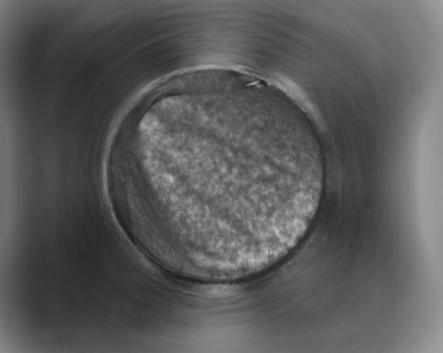 X0000088691188200706281956
