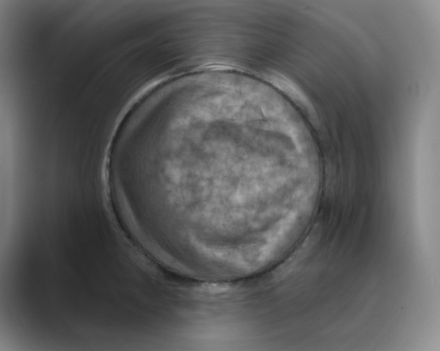 X0000088691190200706281956