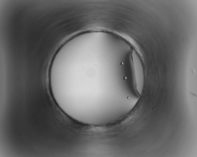 X0000088691191200706281956