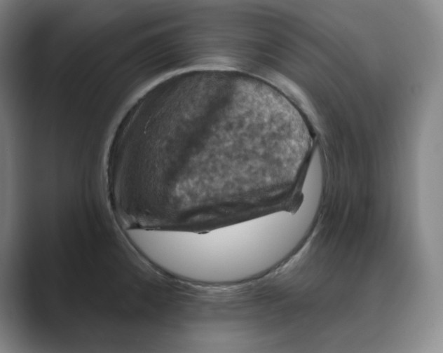 X0000088691192200706281956