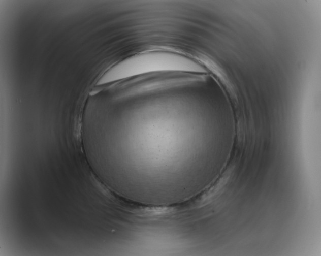 X0000088691193200706281956