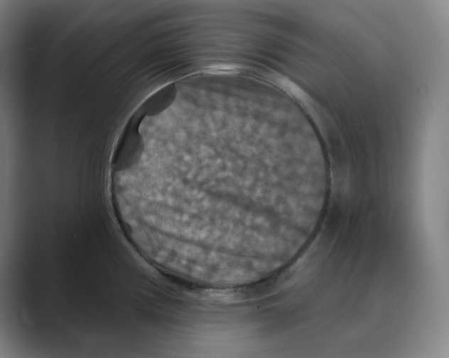 X0000088691194200706281956