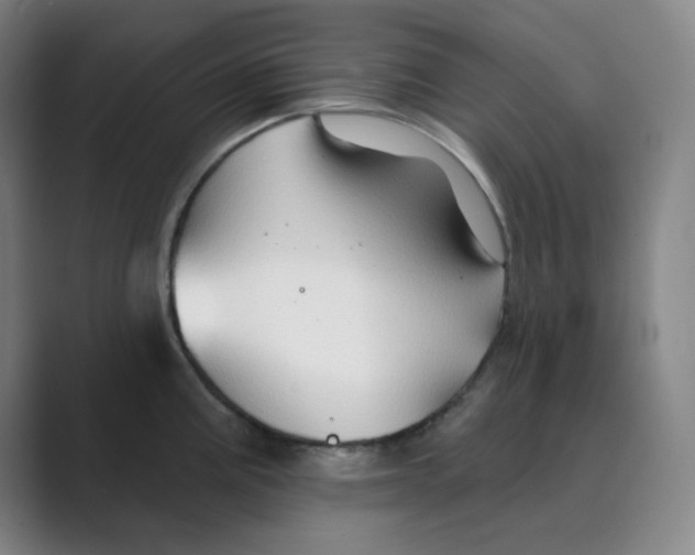 X0000088691195200706281956