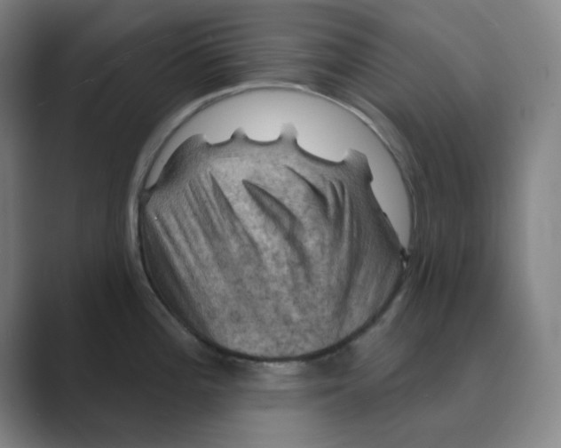 X0000088691196200706281956