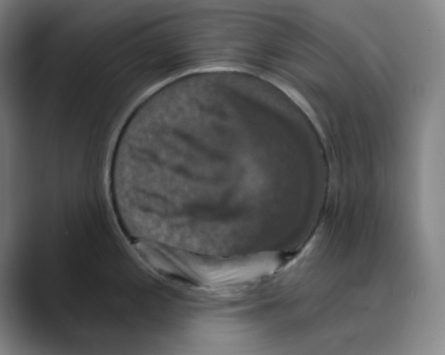 X0000088691197200706281956