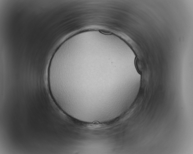 X0000088691199200706281956