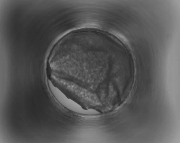 X0000088691200200706281956