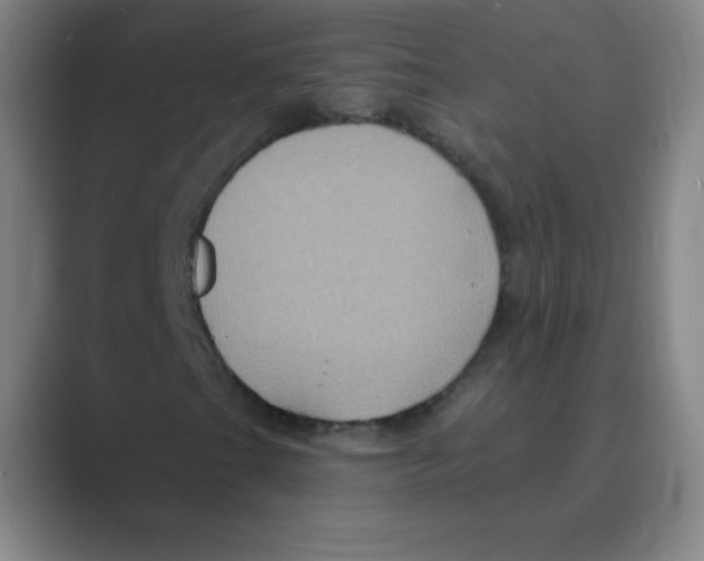 X0000088691201200706281955