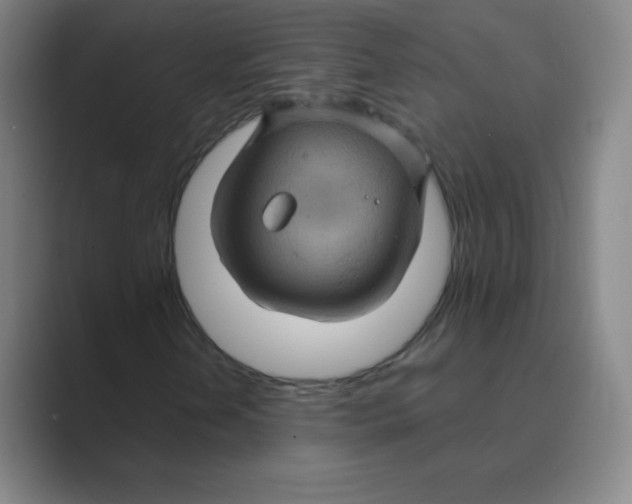 X0000088691202200706281955
