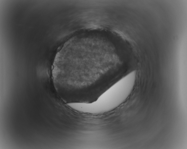 X0000088691206200706281955