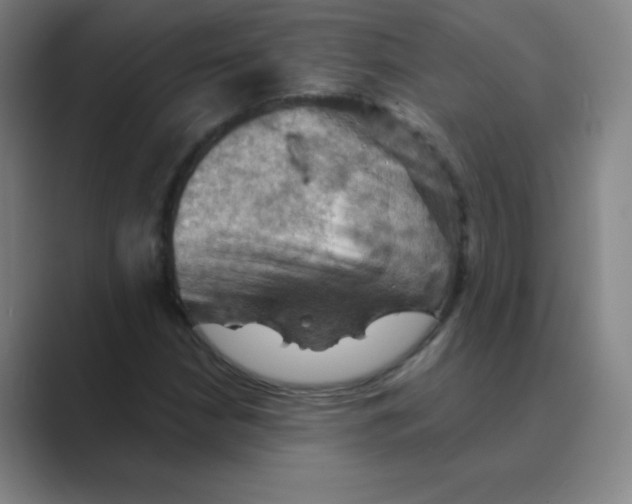 X0000088691210200706281955