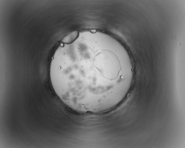X0000088691211200706281955