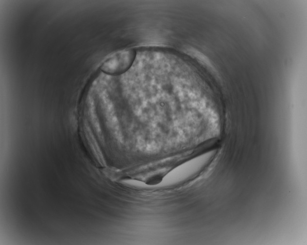 X0000088691212200706281955