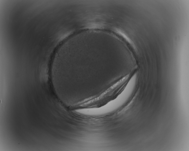 X0000088691213200706281955