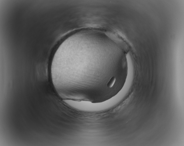 X0000088691214200706281955
