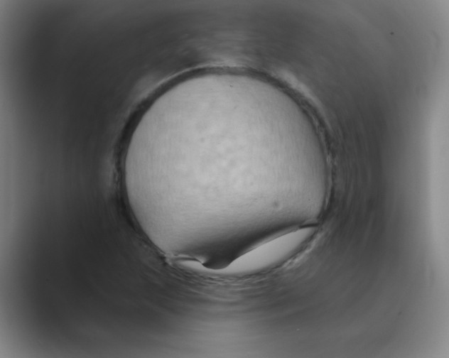 X0000088691215200706281955