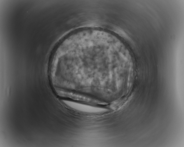 X0000088691216200706281955