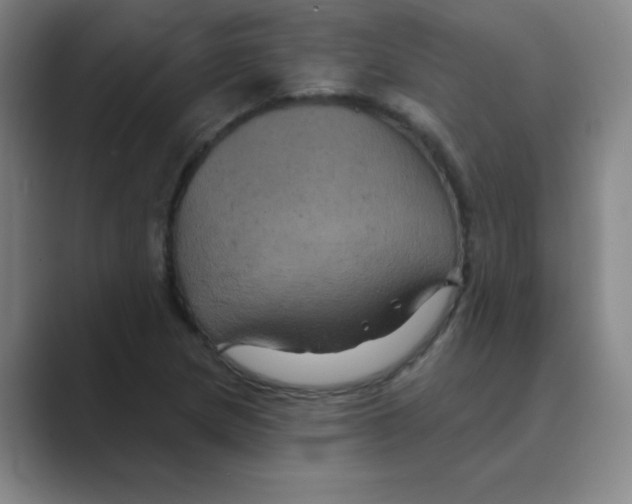 X0000088691217200706281955