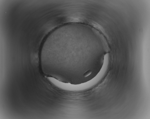 X0000088691218200706281955