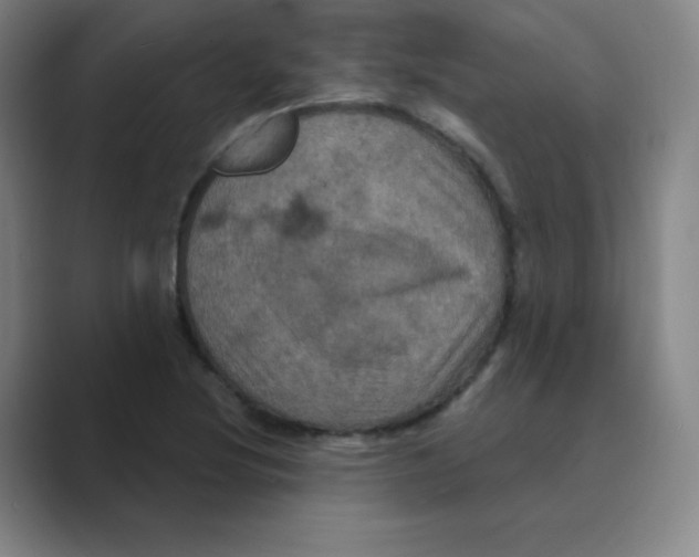 X0000088691220200706281956
