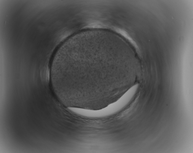 X0000088691221200706281956