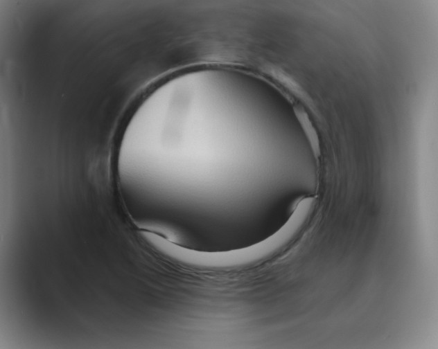 X0000088691222200706281956