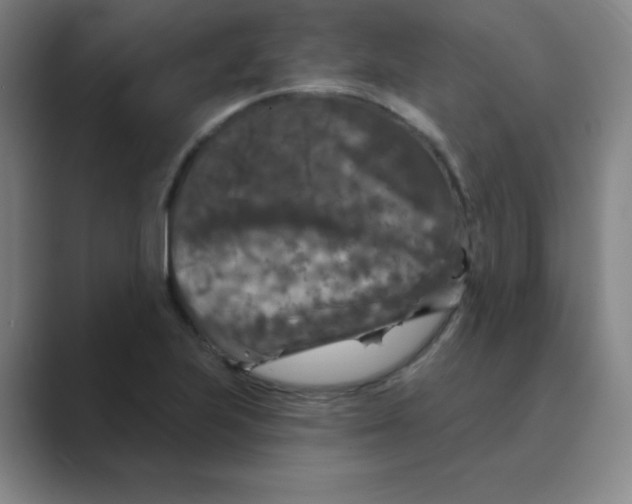 X0000088691223200706281956