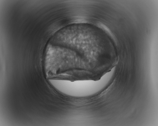 X0000088691225200706281956