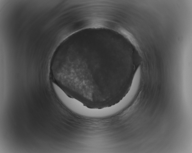 X0000088691226200706281956