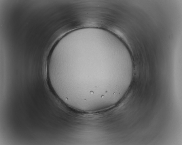 X0000088691227200706281956