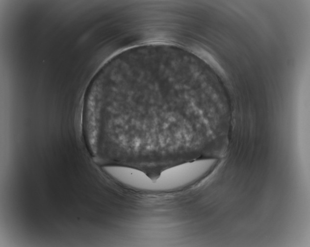 X0000088691228200706281956