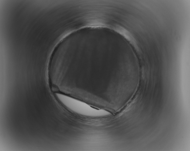 X0000088691229200706281956