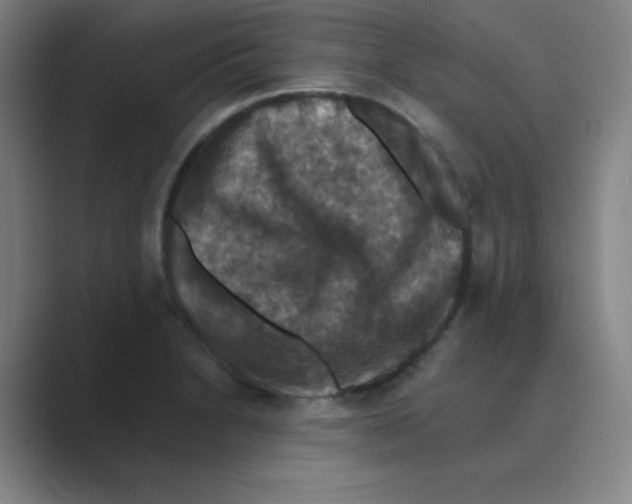 X0000088691230200706281956
