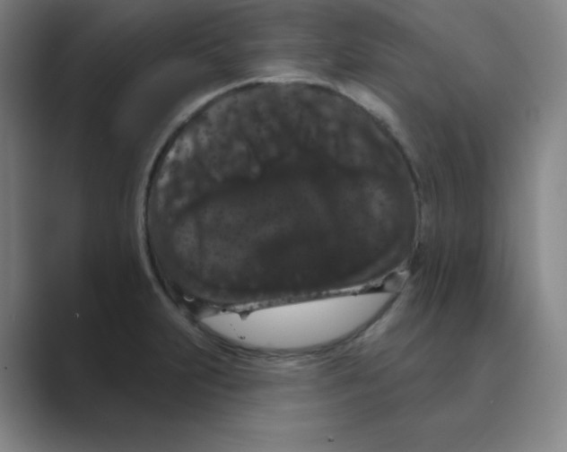 X0000088691231200706281956
