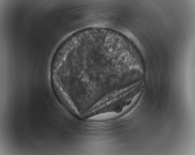 X0000088691232200706281956