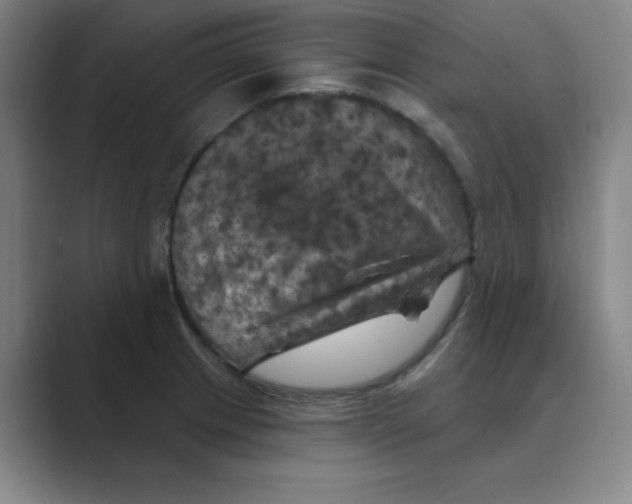 X0000088691233200706281956