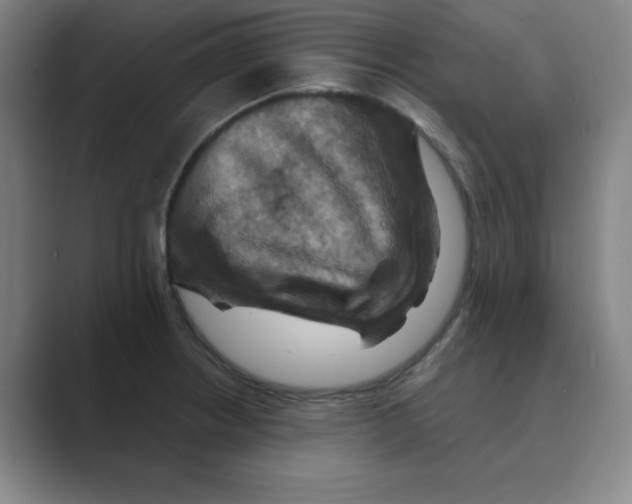 X0000088691234200706281956