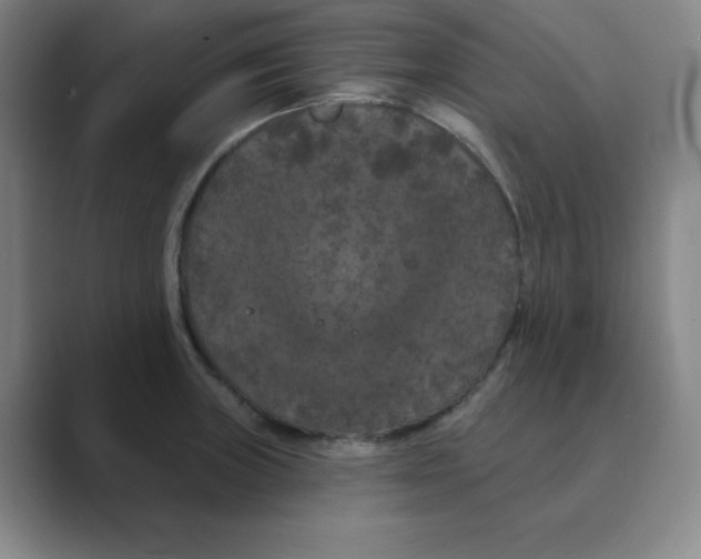 X0000088691235200706281956