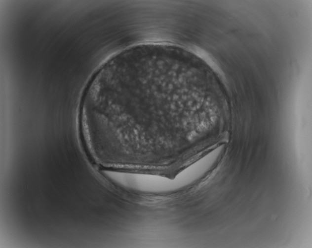 X0000088691237200706281956