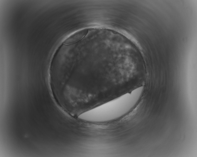 X0000088691239200706281956
