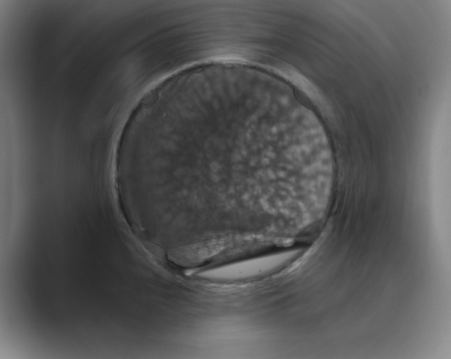 X0000088691240200706281956