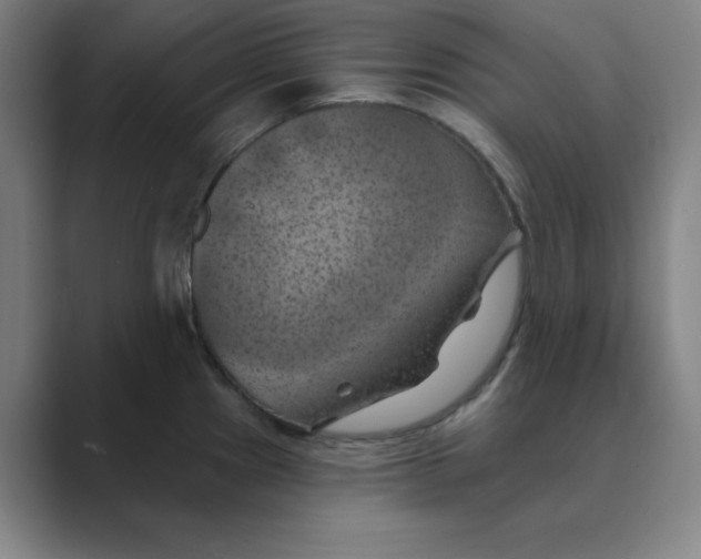 X0000088691241200706281956