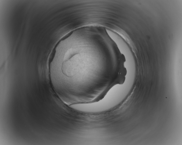 X0000088691242200706281956
